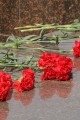 Состоялась патриотическая акция «Рассвет Победы», организатором которой выступил заместитель председателя Молодежного парламента Илья Гуров Состоялась патриотическая акция «Рассвет Победы», организатором которой выступил заместитель председателя Молодежного парламента Илья Гуров